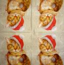 KAT-946 Cats - 3-ply - Ihr - CS